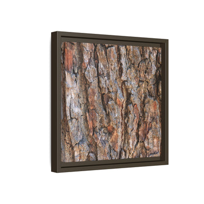 Tree's Timeworn Tale - Unique Stretched Canvas Wall Art - Art By Earth