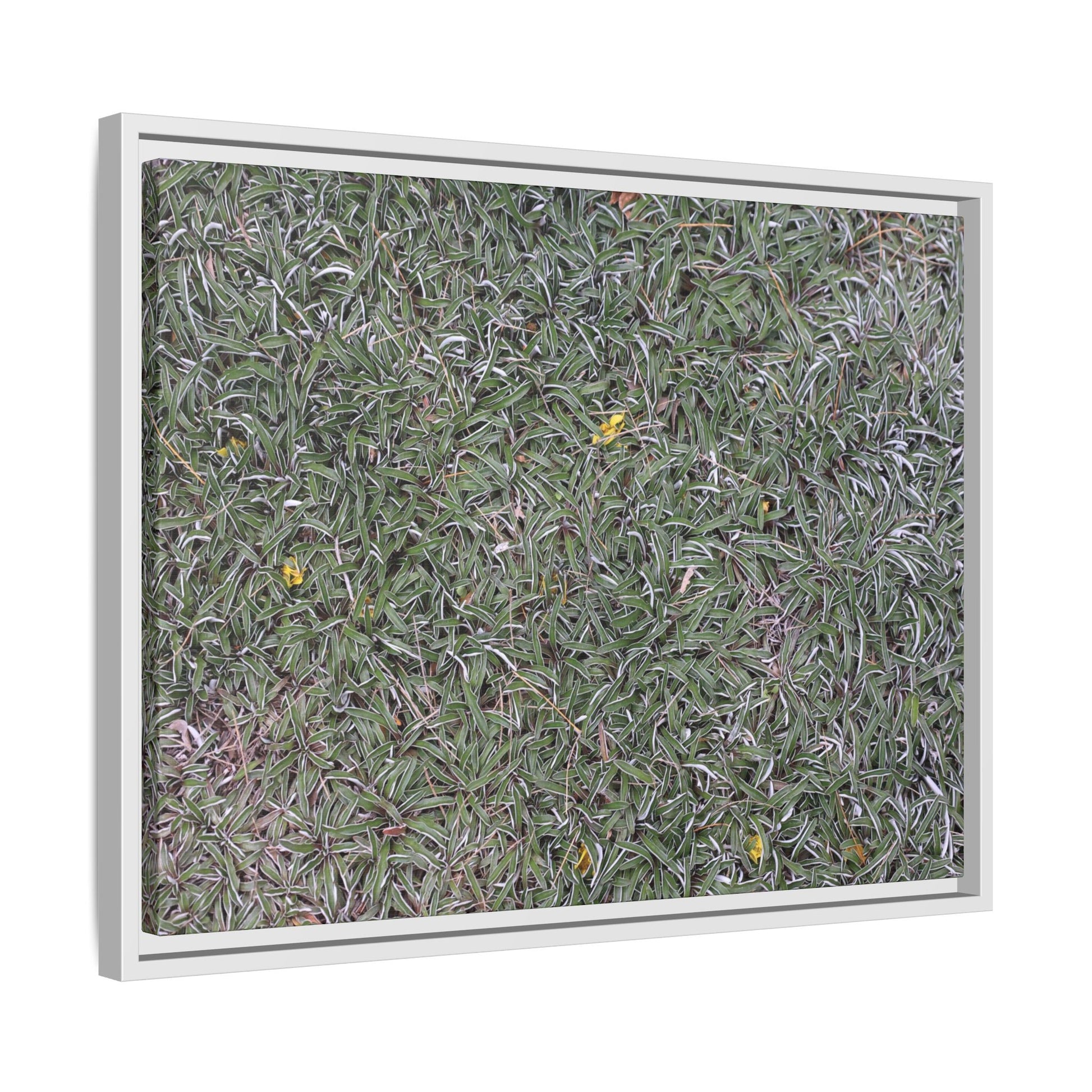 Grassy Texture - Unique Stretched Canvas Wall Art - Art By Earth