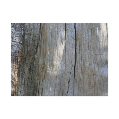 Time's Carved Patterns - Unique Frameless Canvas Wall Art