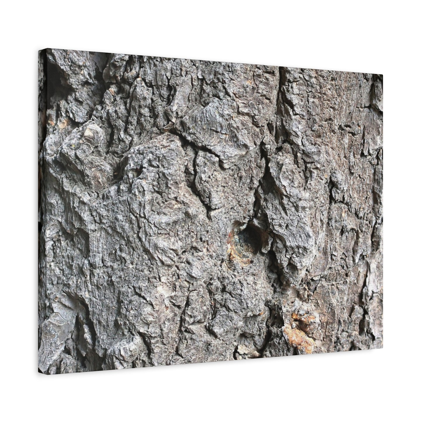 Elemental Canvas - Unique Frameless Canvas Wall Art - Art By Earth