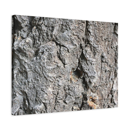 Elemental Canvas - Unique Frameless Canvas Wall Art - Art By Earth