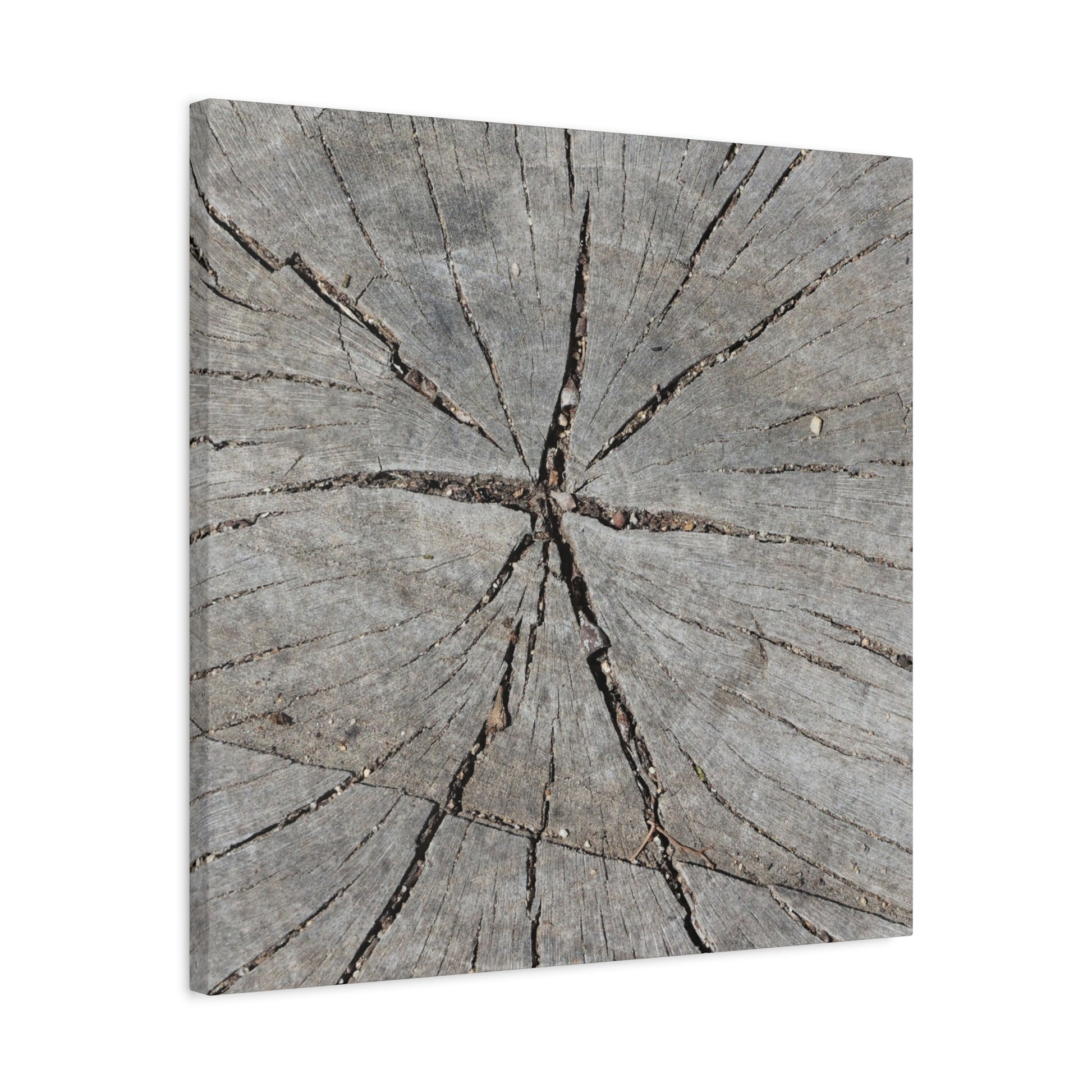 Cracked Chronicle - Unique Frameless Canvas Wall Art - Art By Earth