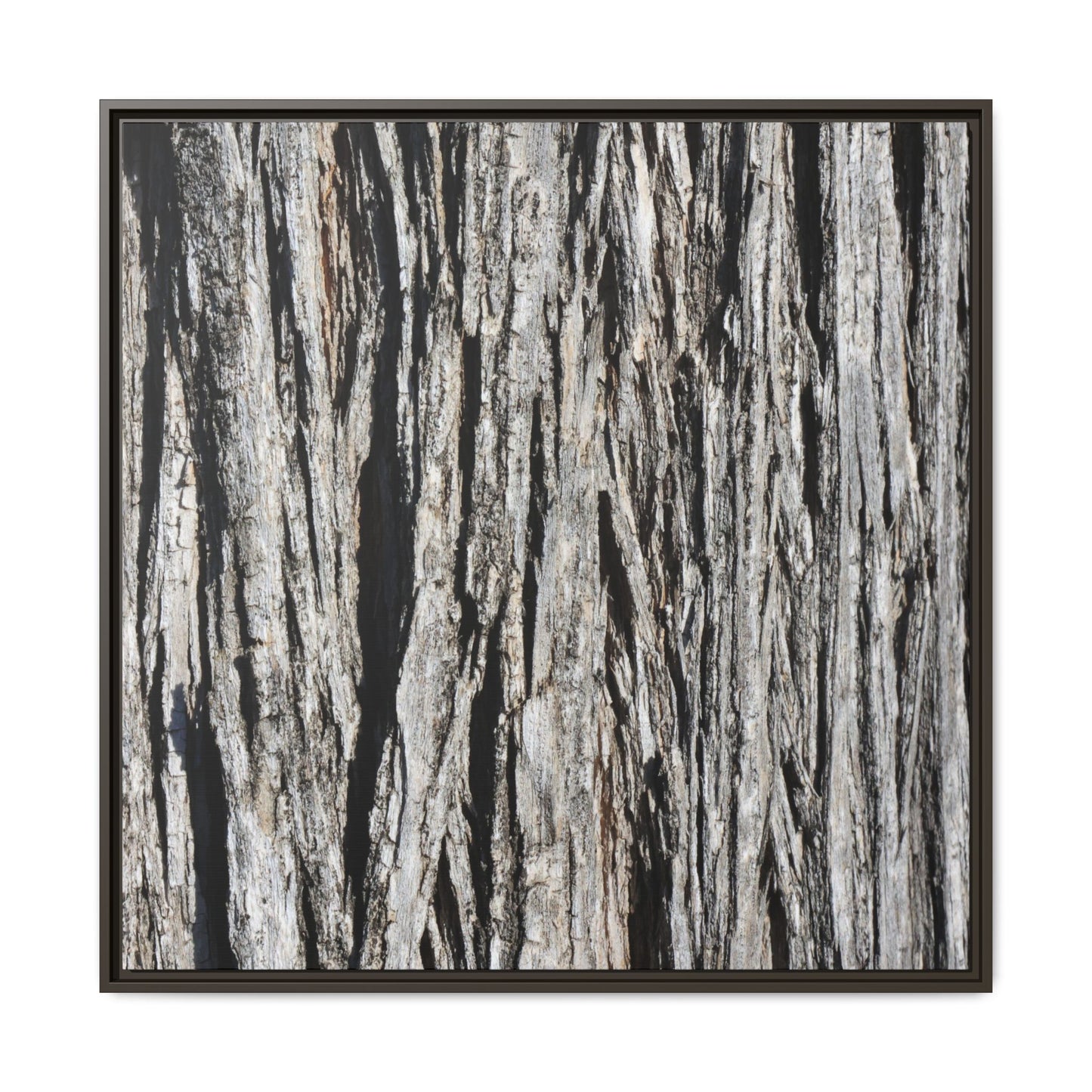 Nature's Abstract - Unique Stretched Canvas Wall Art - Art By Earth