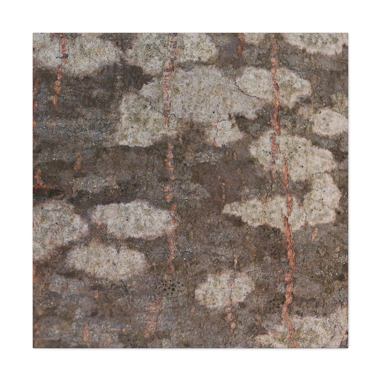 Earthen Memoir - Unique Frameless Canvas Wall Art - Art By Earth