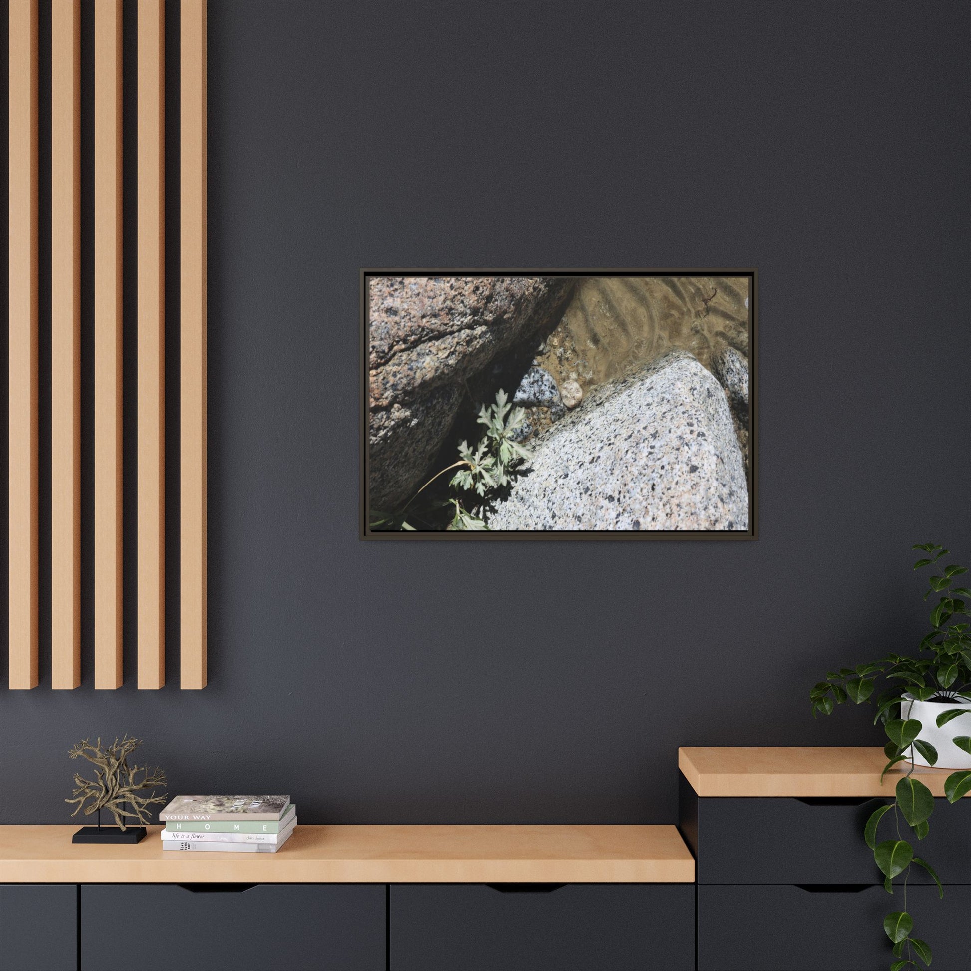 Resilience in Stone - Unique Stretched Canvas Wall Art - Art By Earth