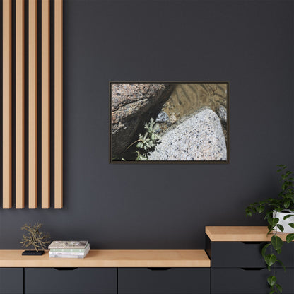Resilience in Stone - Unique Stretched Canvas Wall Art - Art By Earth