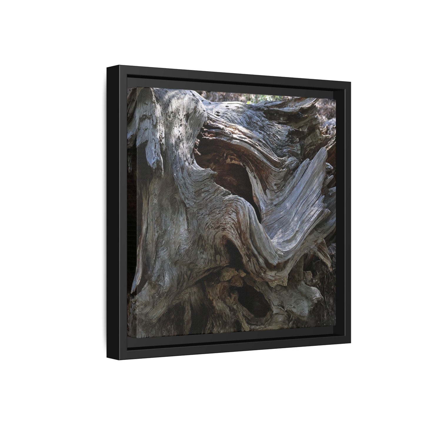 Twisted Memories - Unique Stretched Canvas Wall Art - Art By Earth