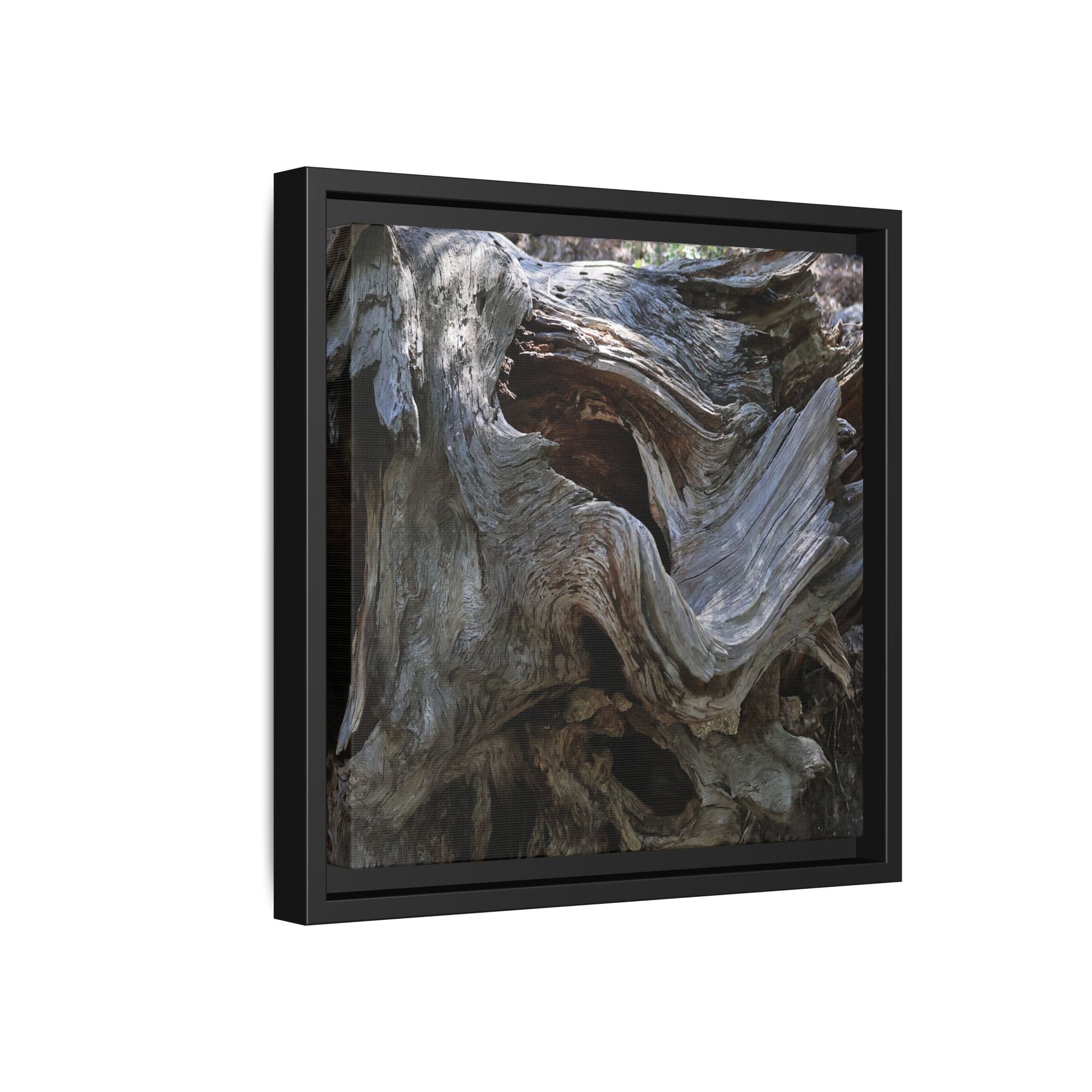 Twisted Memories - Unique Stretched Canvas Wall Art - Art By Earth