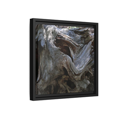 Twisted Memories - Unique Stretched Canvas Wall Art - Art By Earth