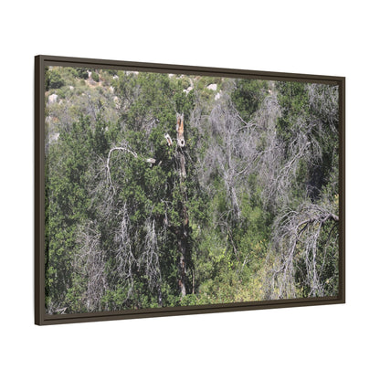 Forest Decline - Unique Stretched Canvas Wall Art