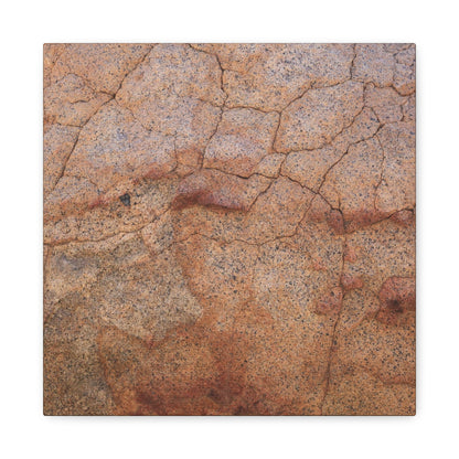 Cracked Earth's Whisper - Unique Frameless Canvas Wall Art - Art By Earth