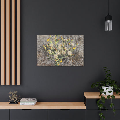 Whispers of the Dry Meadow - Unique Stretched Canvas Wall Art - Art By Earth