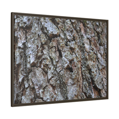 Woodland Canvas - Unique Stretched Canvas Wall Art - Art By Earth