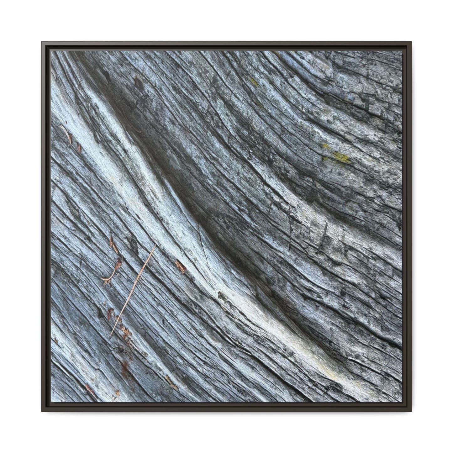 Time's Carved Path - Unique Stretched Canvas Wall Art - Art By Earth