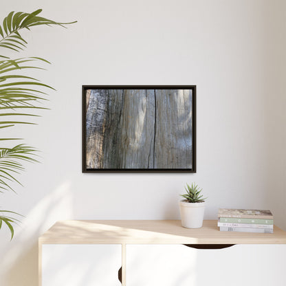 Cracked Timber Texture - Unique Stretched Canvas Wall Art