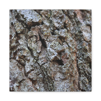 Cracked Echoes - Unique Frameless Canvas Wall Art - Art By Earth