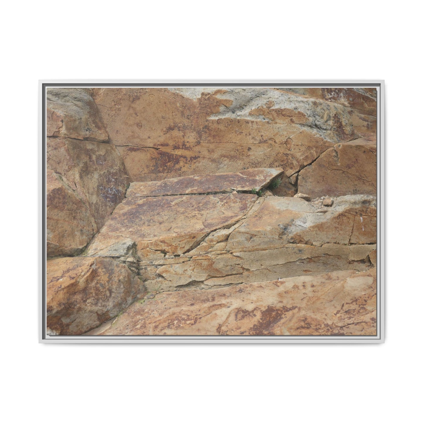 Ancient Foundations - Unique Stretched Canvas Wall Art - Art By Earth