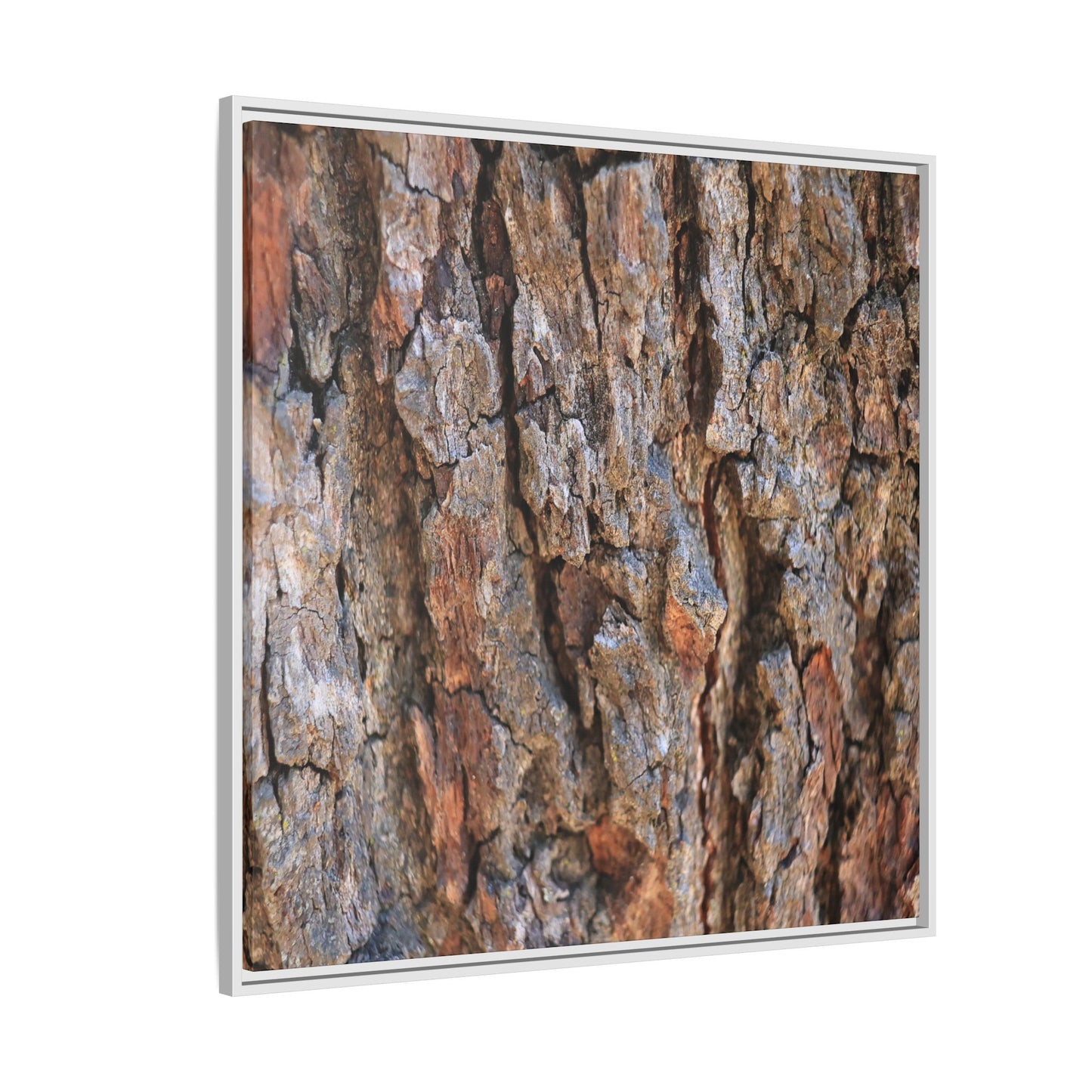 Craggy Textures - Unique Stretched Canvas Wall Art - Art By Earth
