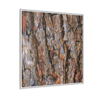Craggy Textures - Unique Stretched Canvas Wall Art - Art By Earth