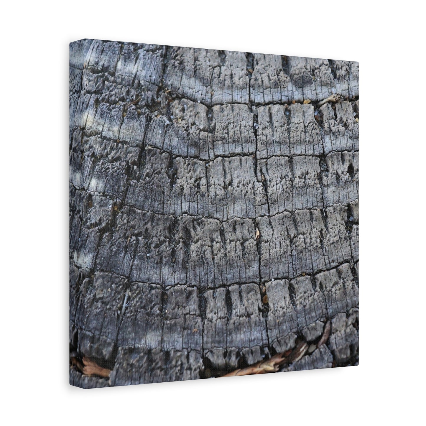 Whispers of Age - Unique Frameless Canvas Wall Art - Art By Earth