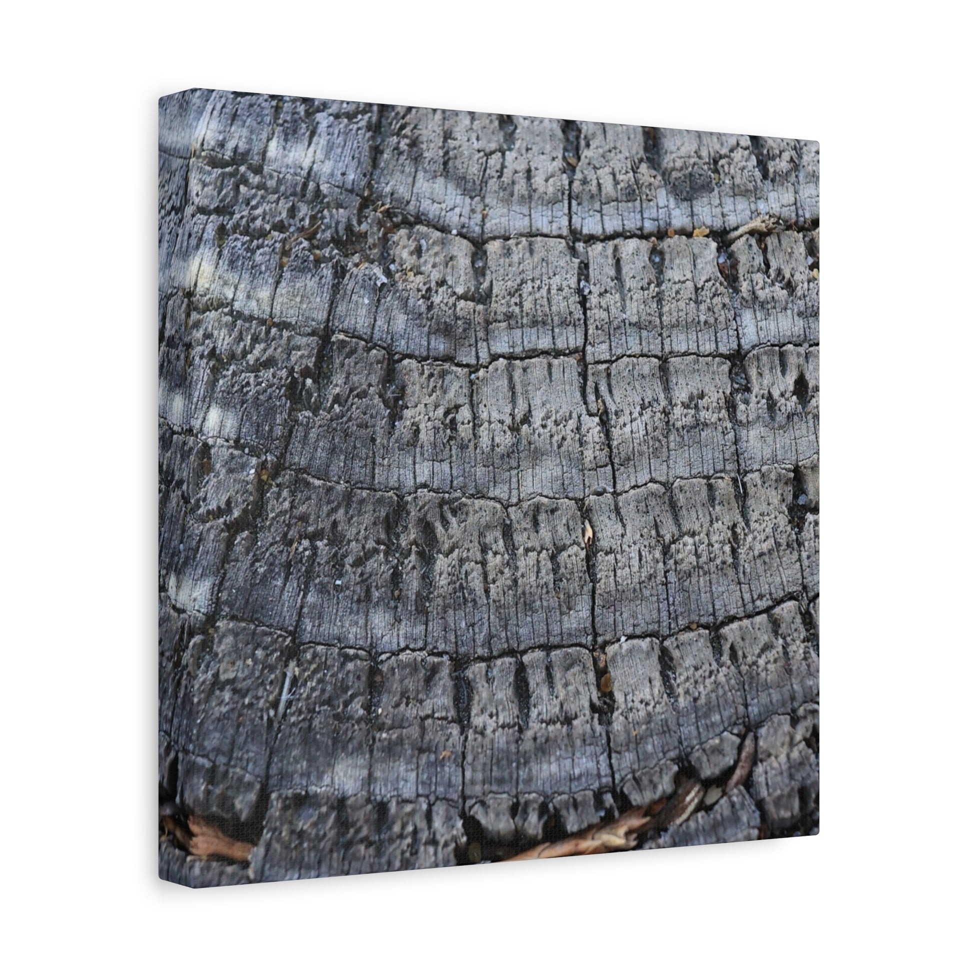 Whispers of Age - Unique Frameless Canvas Wall Art - Art By Earth