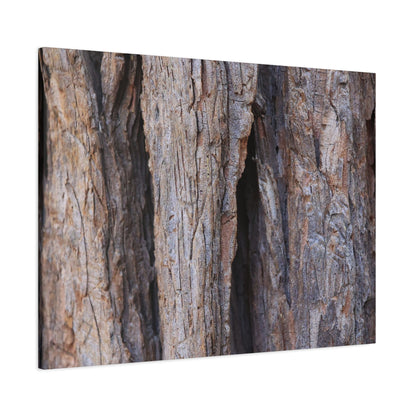 Fractal Skin - Unique Frameless Canvas Wall Art - Art By Earth