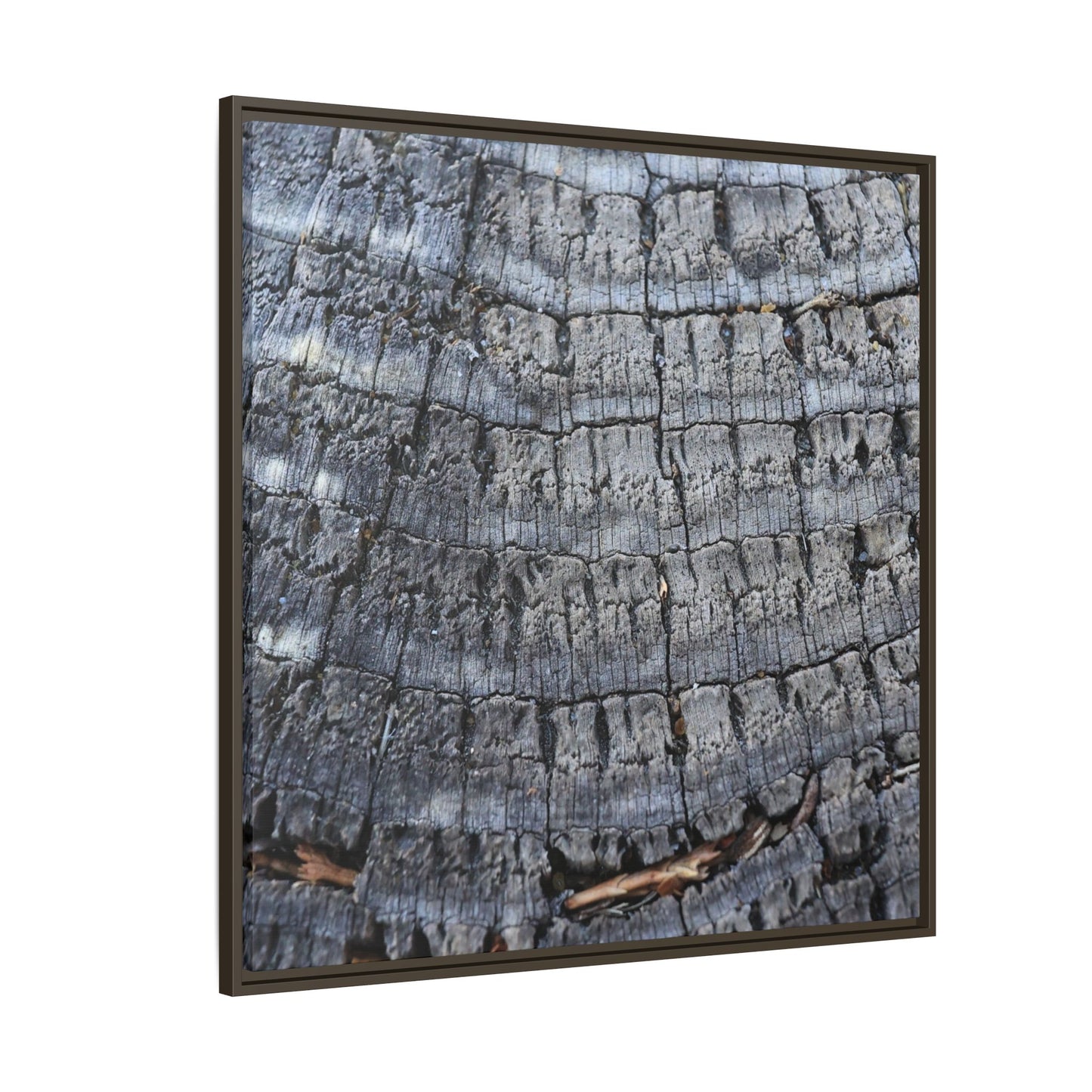Charred Memories - Unique Stretched Canvas Wall Art - Art By Earth