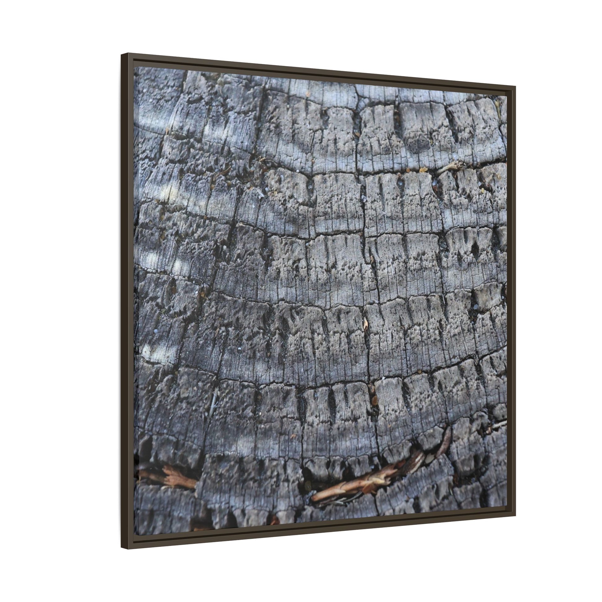 Charred Memories - Unique Stretched Canvas Wall Art - Art By Earth