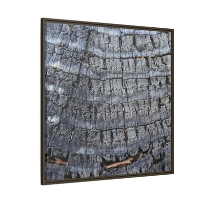 Charred Memories - Unique Stretched Canvas Wall Art - Art By Earth