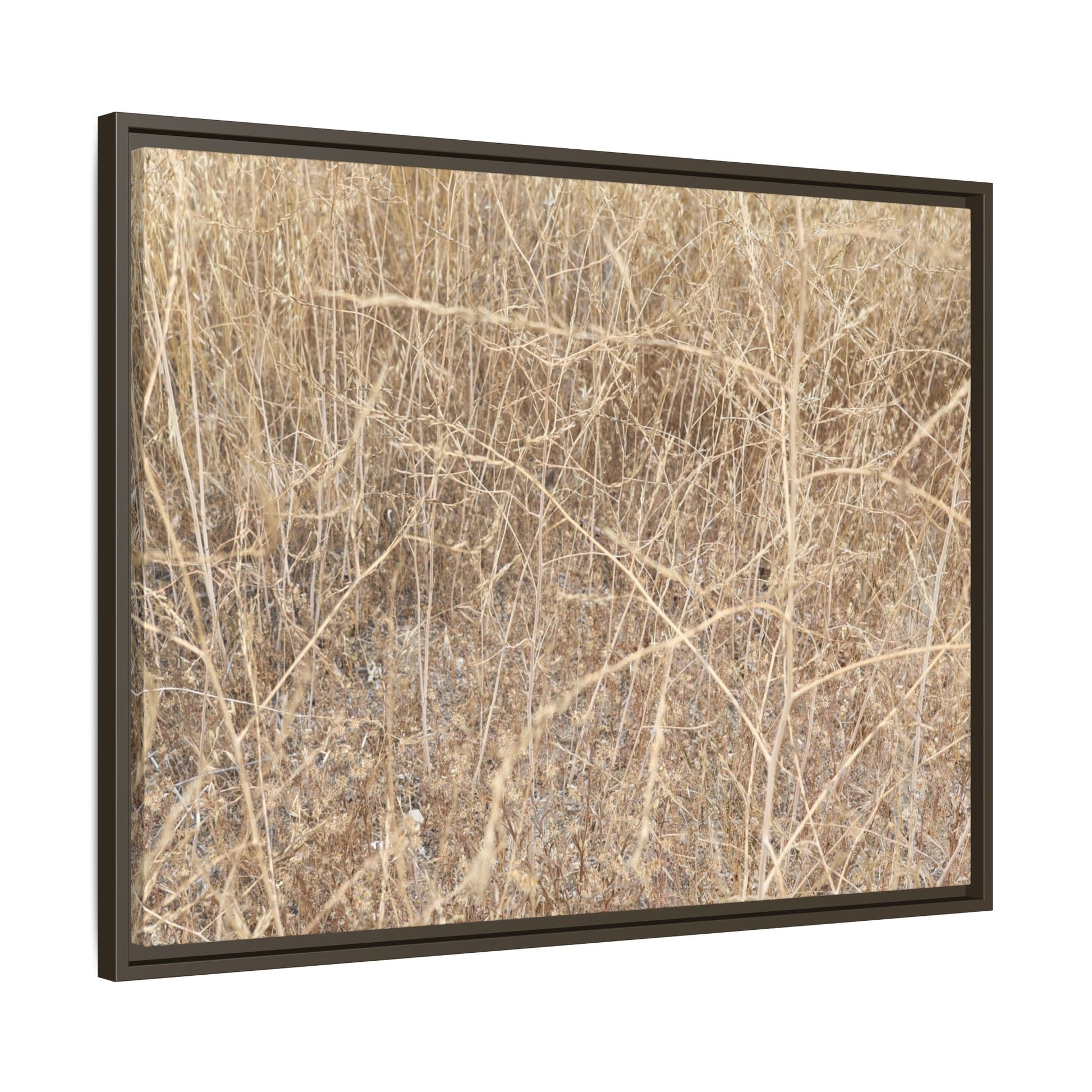 Golden Stalks - Unique Stretched Canvas Wall Art - Art By Earth