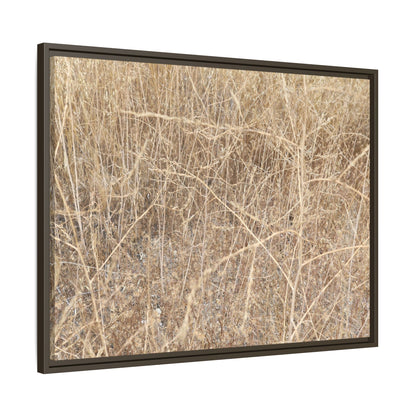 Golden Stalks - Unique Stretched Canvas Wall Art - Art By Earth