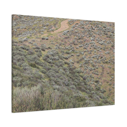 Desert Path Through Sagebrush - Unique Frameless Canvas Wall Art - Art By Earth
