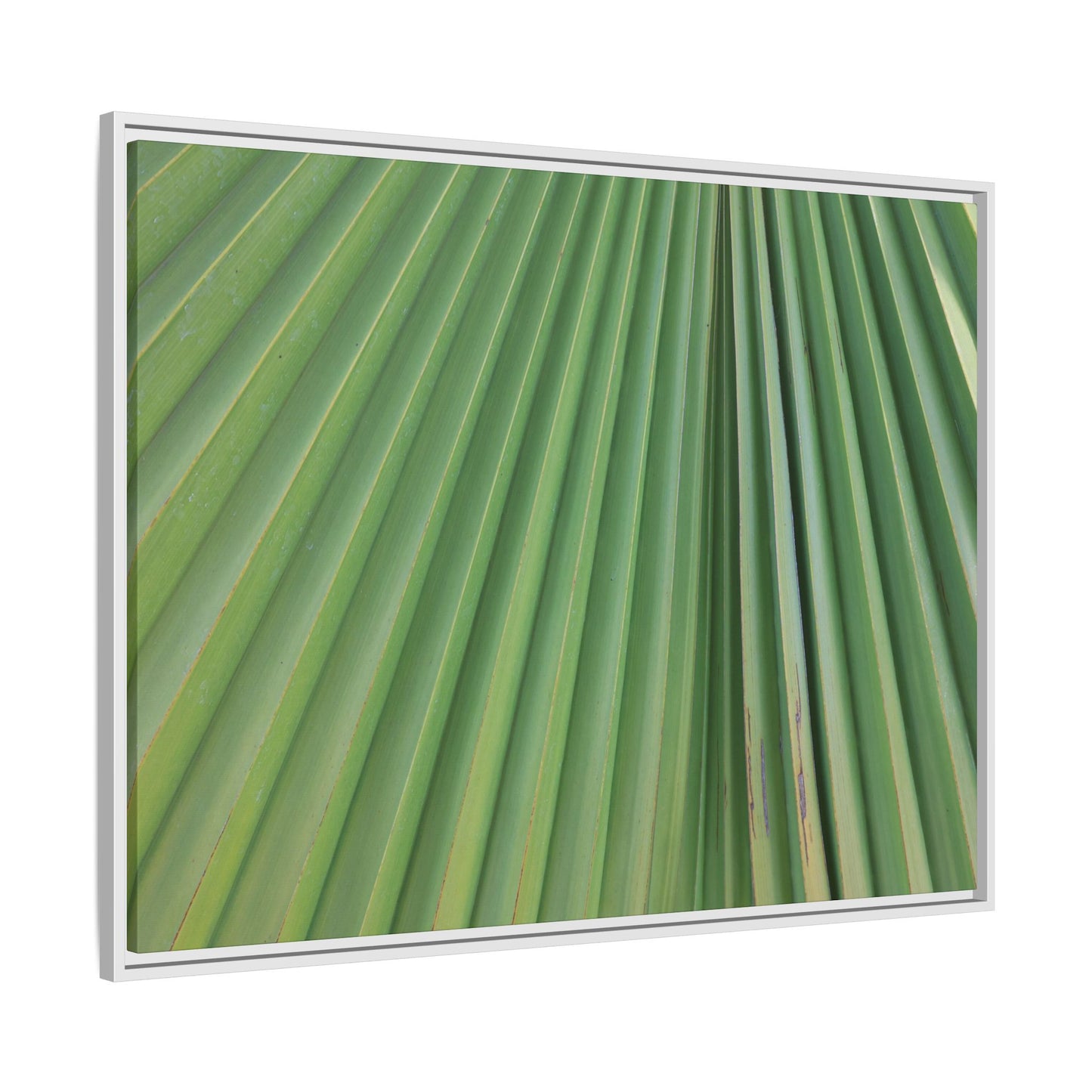 Emerald Rays - Unique Stretched Canvas Wall Art - Art By Earth