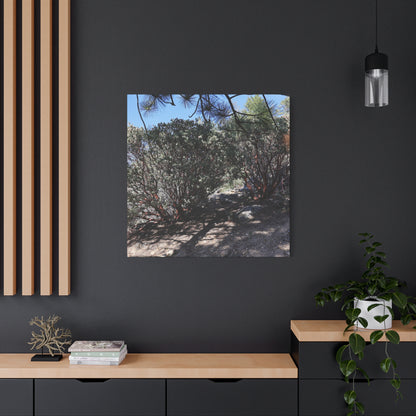 Desert Blooms - Unique Frameless Canvas Wall Art