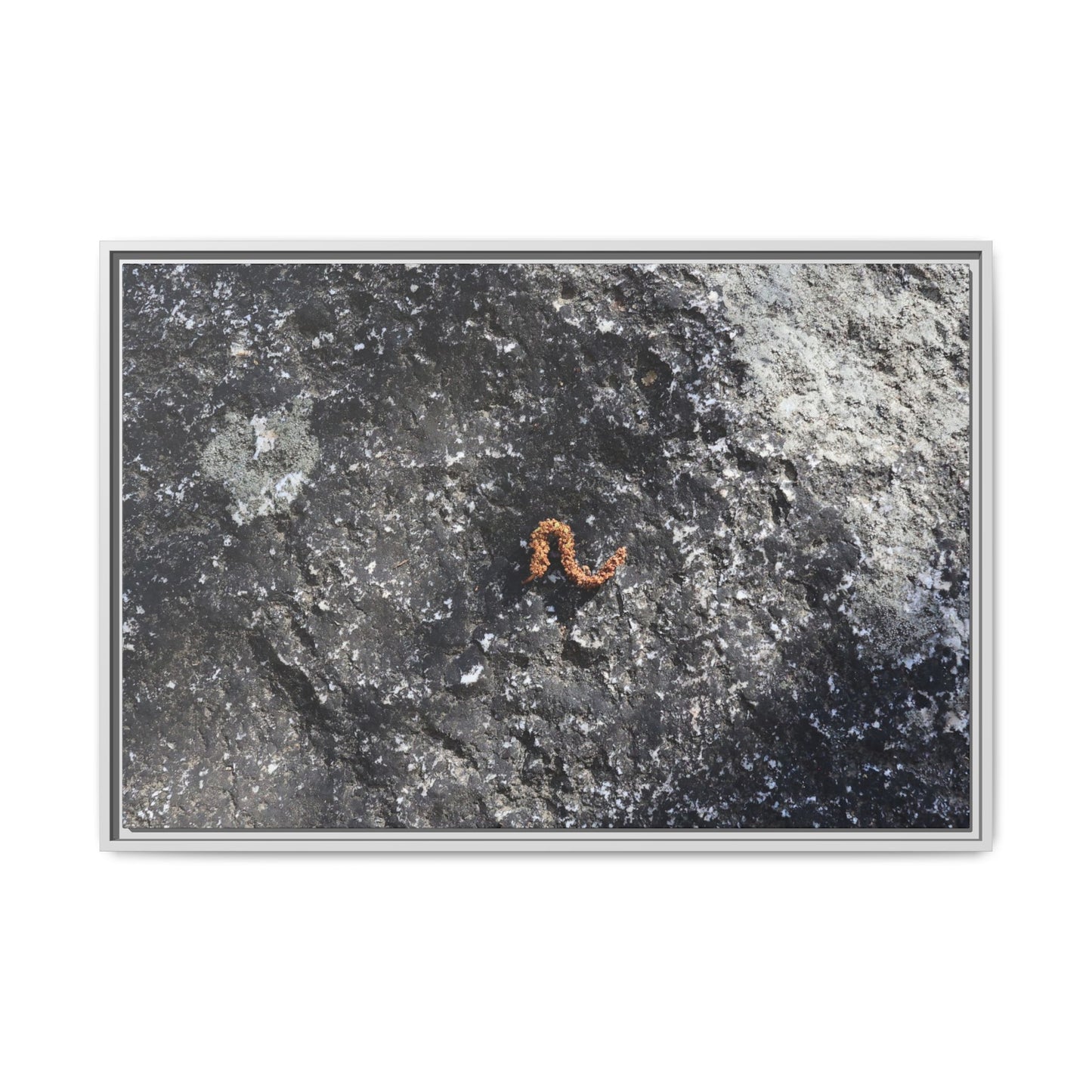Volcanic Ash and Copper - Unique Stretched Canvas Wall Art - Art By Earth