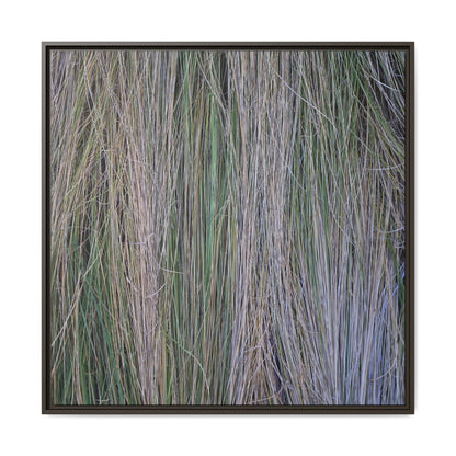 Whispers of Silver Grass - Unique Stretched Canvas Wall Art - Art By Earth