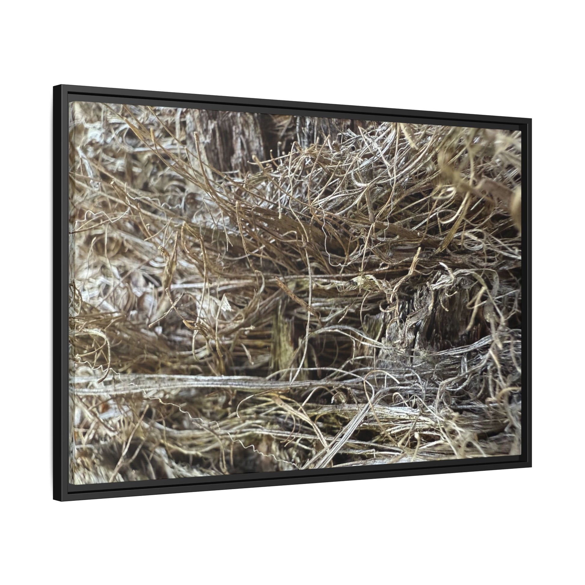 Tangled Whispers of Autumn - Unique Stretched Canvas Wall Art - Art By Earth