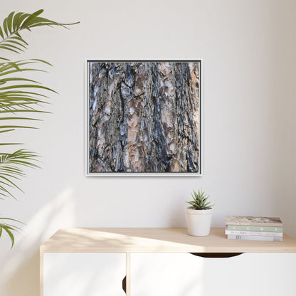 Textured Memories - Unique Stretched Canvas Wall Art - Art By Earth