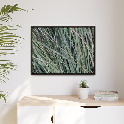 Grassland Symphony - Unique Stretched Canvas Wall Art - Art By Earth
