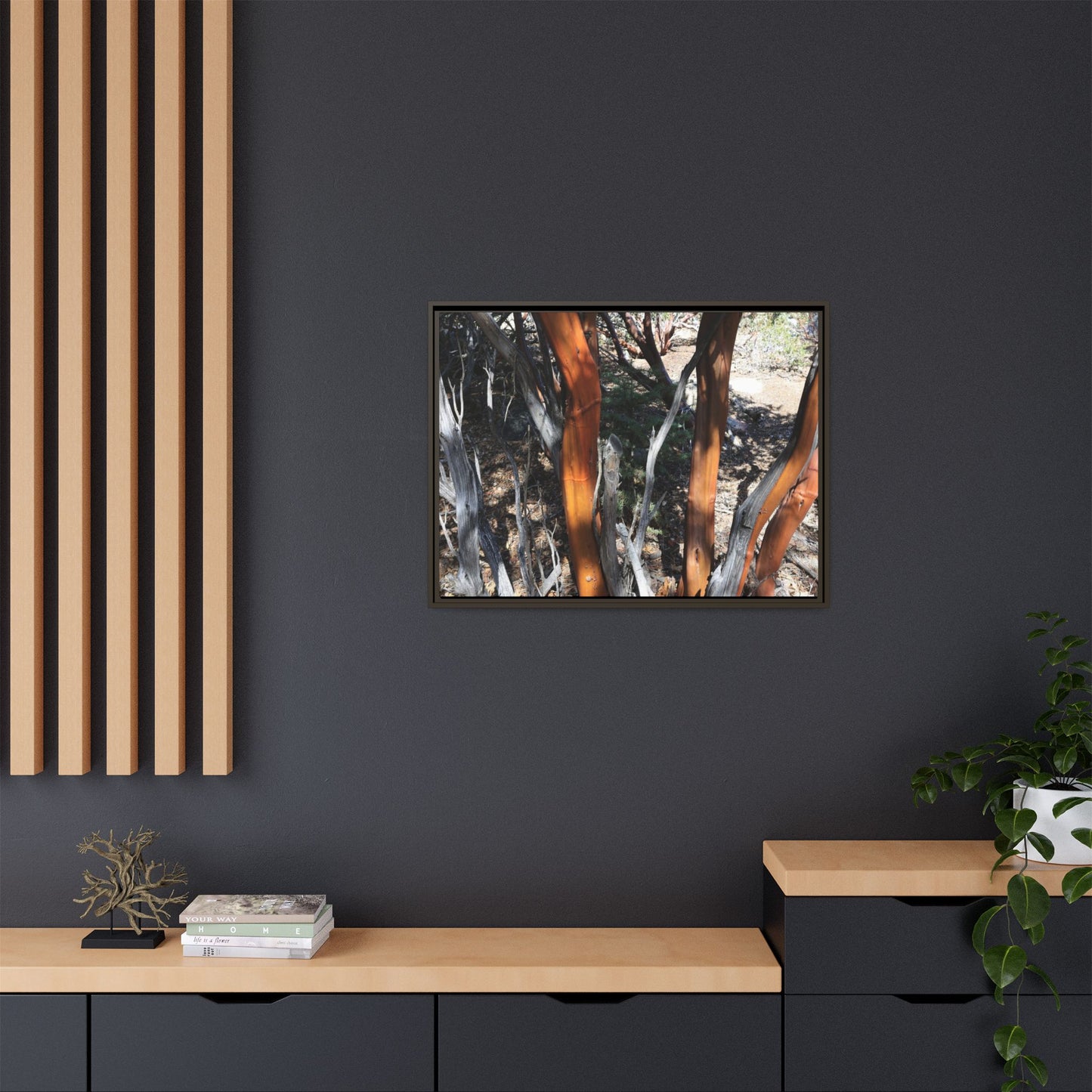 Eucalyptus Grove - Unique Stretched Canvas Wall Art