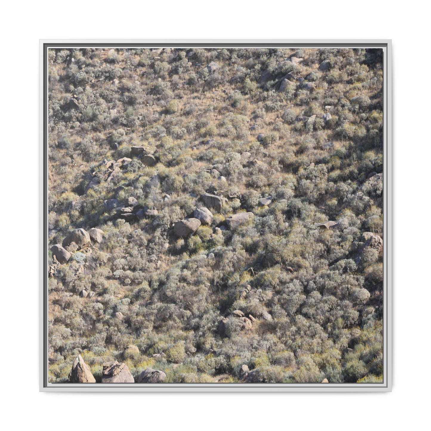 Arid Terrain Study - Unique Stretched Canvas Wall Art - Art By Earth