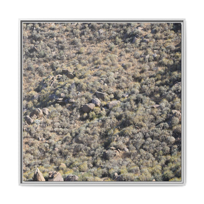 Arid Terrain Study - Unique Stretched Canvas Wall Art - Art By Earth