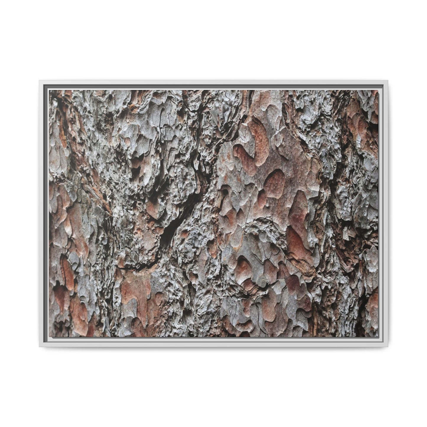 Bark Texture Symphony - Unique Stretched Canvas Wall Art - Art By Earth