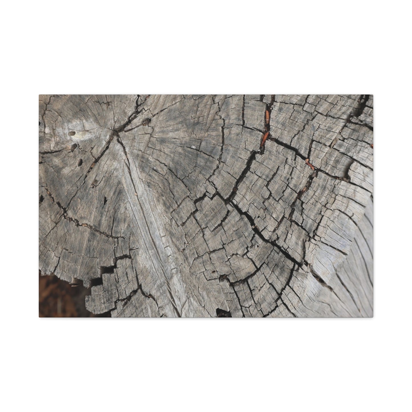 Cracked Memories - Unique Frameless Canvas Wall Art - Art By Earth