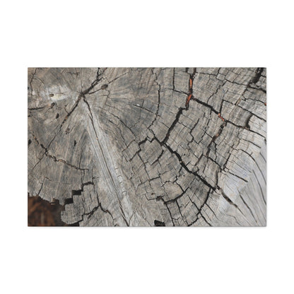 Cracked Memories - Unique Frameless Canvas Wall Art - Art By Earth