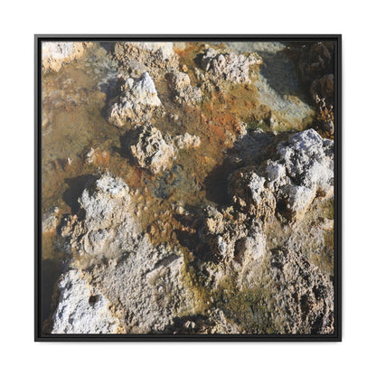 Textural Metamorphosis - Unique Stretched Canvas Wall Art