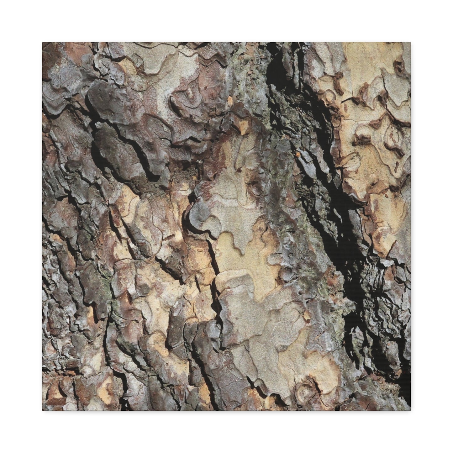 Tree Bark Symphony - Unique Frameless Canvas Wall Art - Art By Earth