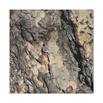 Tree Bark Symphony - Unique Frameless Canvas Wall Art - Art By Earth