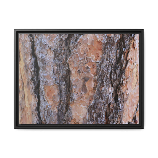 Earthy Embrace - Unique Stretched Canvas Wall Art - Art By Earth