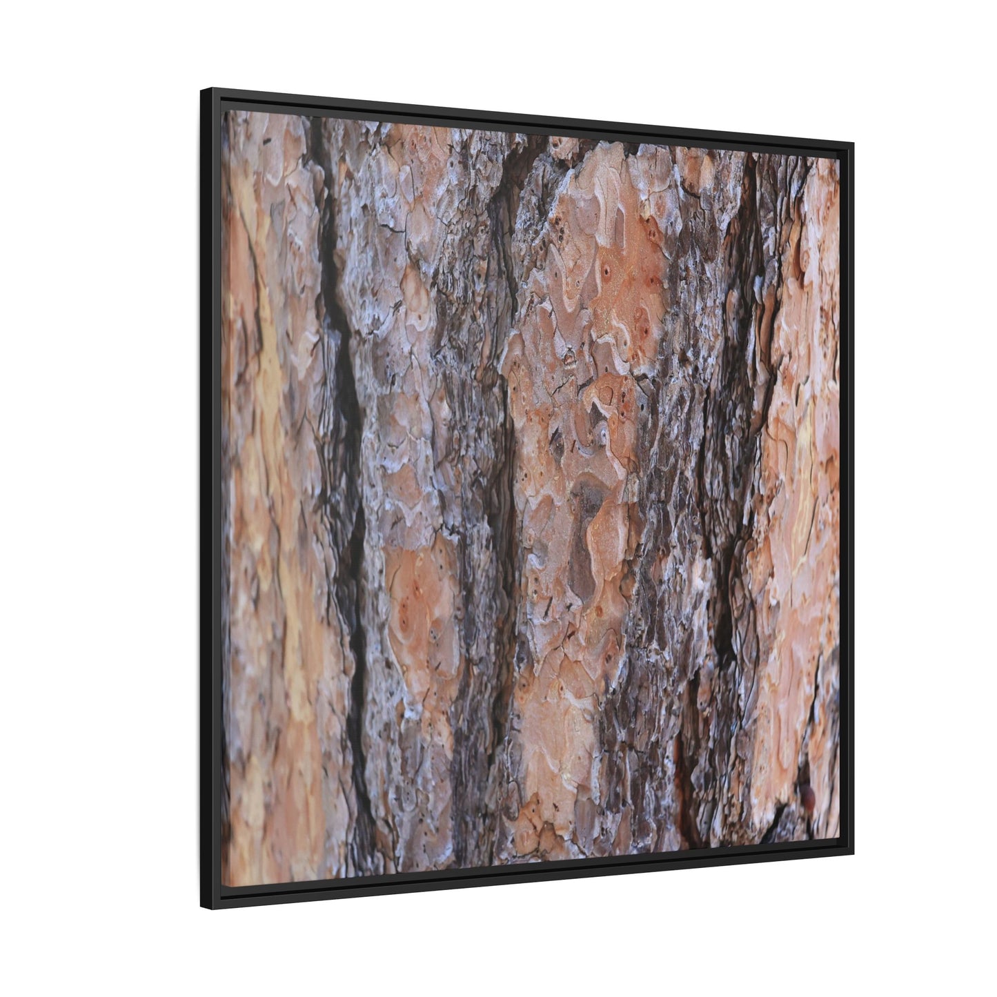 Earthy Embrace - Unique Stretched Canvas Wall Art - Art By Earth